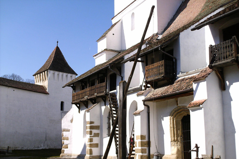 Brasov: Saxon Fortified Churches Day Tour with Guide