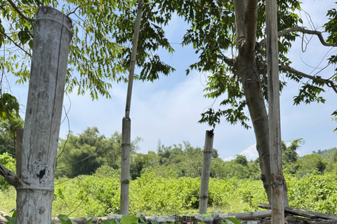 El Nido, Sibaltan: Local Organic Farm Tour & Product Tasting Farm Tour: 2 to 5