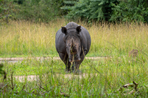 From Kampala: 8-Day Uganda Safari Tour with Transfers