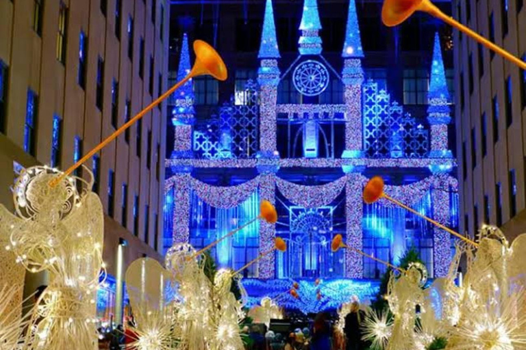 NYC: Central Park Christmas Lights Horse-Drawn Carriage Ride