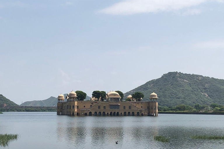 Desde Delhi: Visita guiada privada de la ciudad de Jaipur con trasladosSólo servicios de coche con conductor y guía turístico