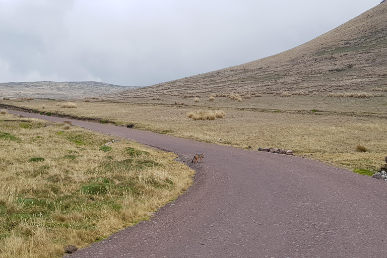 Aventure d&#039;observation du condor : Circuit au départ de Quito