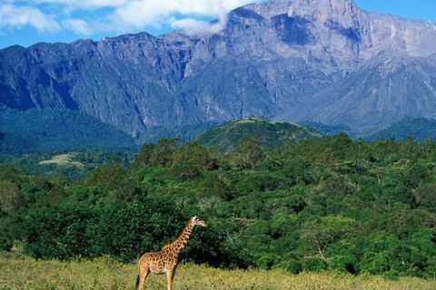 رحلة سفاري لمدة يومين لمشاهدة عجائب الطبيعة الأفريقية