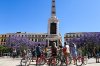 Visite à vélo de Malaga - Vieille Ville, Marina & Plage - Hizvo