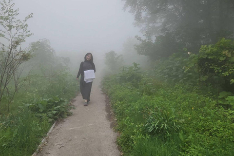 Private Tour to Togakushi Shrine, Castle, Sushi & Onsen From Nagano: Togakushi Shrine & Sushi Lunch