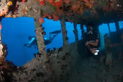 Maldives: Victory Shipwreck Scuba Dive
