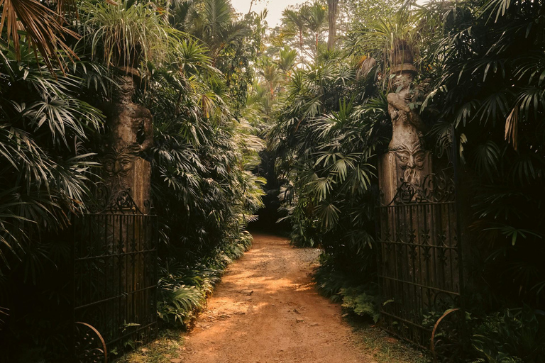 Galle: Kanneliya Rainforest , Jungle Beach & Craft Tour