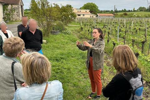 Bordeaux : Nel cuore di un vigneto biologico a conduzione familiare