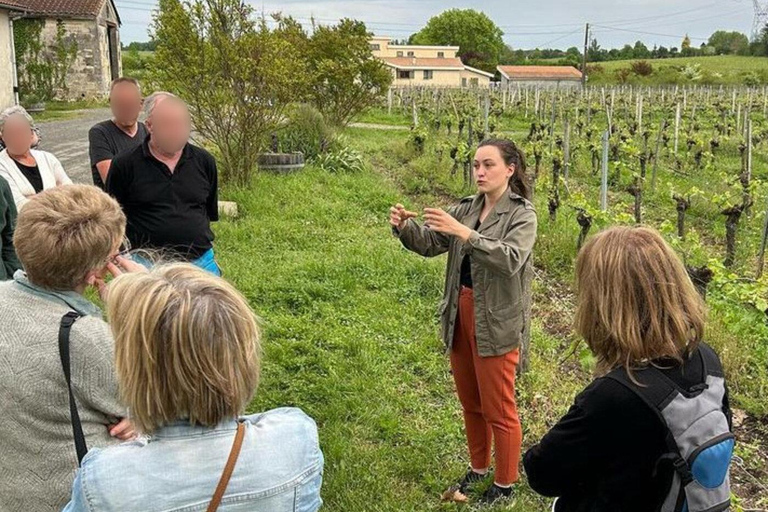 Bordeaux : Im Herzen eines biologischen Familienweinguts