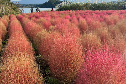 Från Tokyo / Yokohama: Privat dagsutflykt till Fuji-berget och Hakone