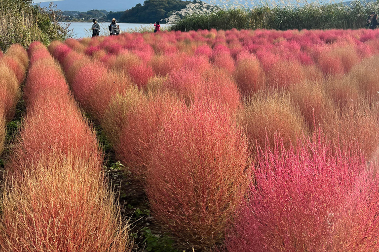 Från Tokyo / Yokohama: Privat dagsutflykt till Fuji-berget och Hakone