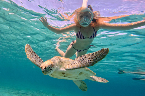 Barbados: Small-Group Catamaran Cruise with Snorkeling