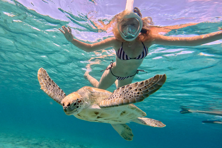Barbados: Small-Group Catamaran Cruise with Snorkeling
