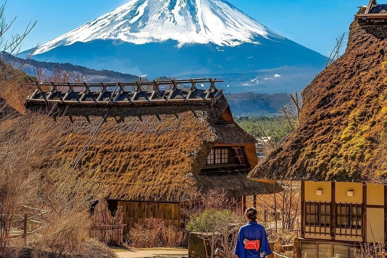 Excursion privée d&#039;une journée au Mont Fuji avec guide anglais
