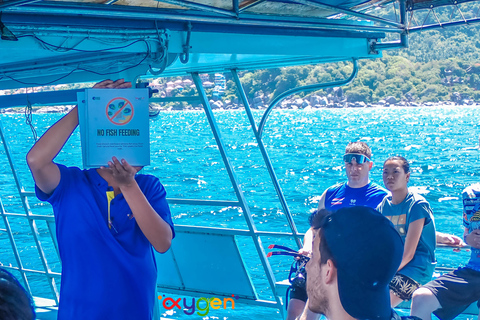 Koh Tao in a Day: Turtles, Hidden Reefs & Nangyuan Viewpoint