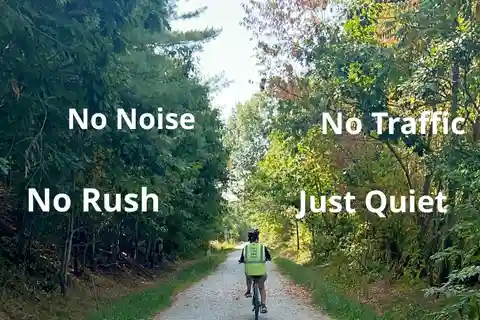 Portsmouth: Cykeltur med natur og dyreliv