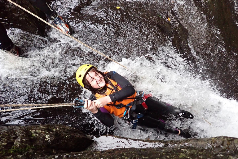 Cairns: Tour d&#039;avventura Crystals &amp; Behana - Canyoning a CairnsEsperienza nella foresta pluviale delle cascate di Cairns Giornata intera avanzata