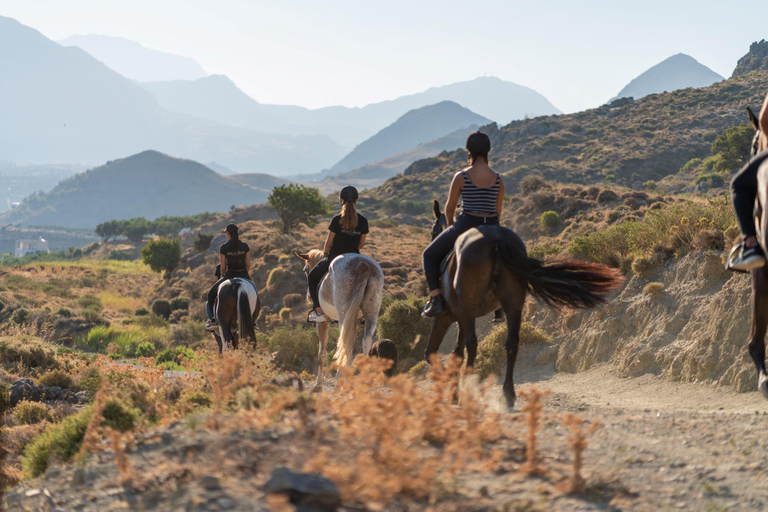 Crète : Excursion à cheval dans le panorama de Plakias