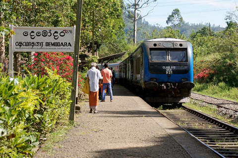 Ella: Full Day 6Highlights Tour by Tuk-Tuk