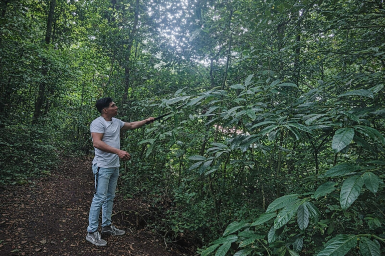 Monteverde: Roots of the Future Walk at Finca Lantana