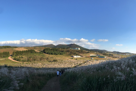 Wycieczka autobusowa na zachód od wyspy Jeju z miasta Seogwipo na wyspie JejuWycieczka autobusowa na zachód od wyspy Jeju / nocleg ze śniadaniem