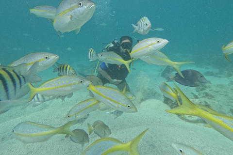 Punta Cana: Discover Scuba Diving Experience for Beginners