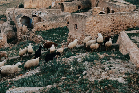 Hammamet: Berber Village, Sunset, Dinner & Folklore Evening Hammamet: Berber Village, Sunset, Dinner, and Folklore Evening