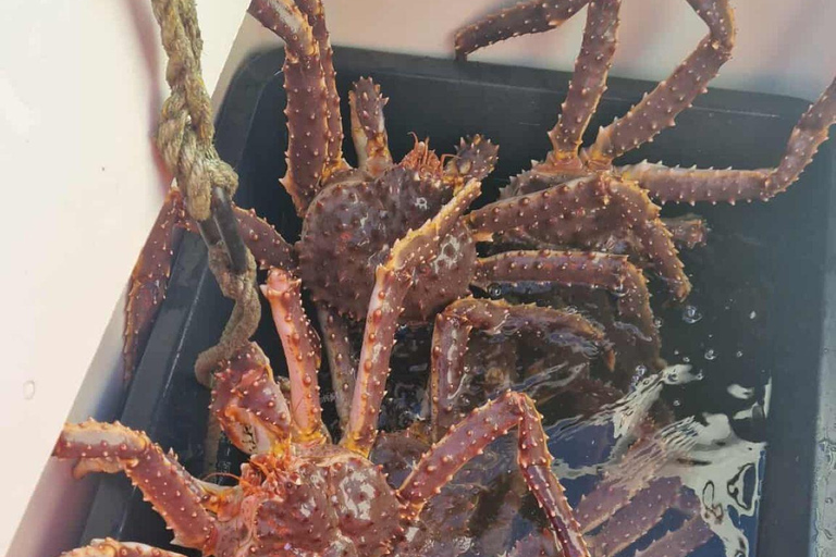 Tromsø: Arctic king crab cruise with self-captured lunch