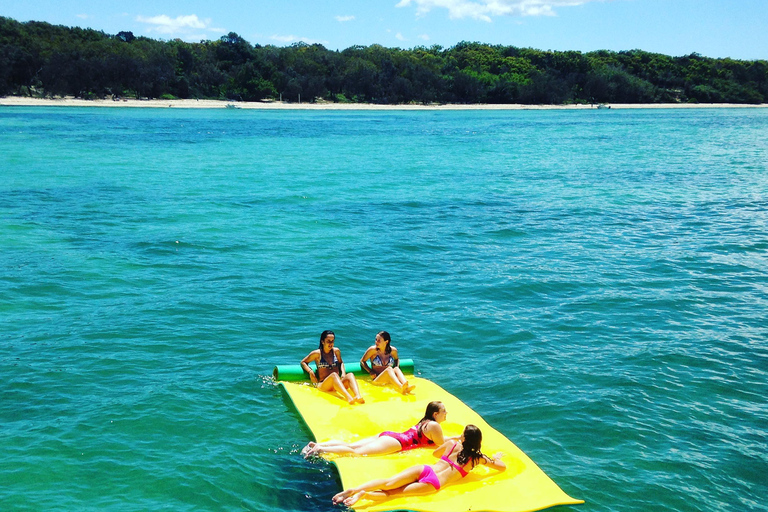 Brisbane: Excursão de meio dia à vela em Moreton Bay com Antipasto