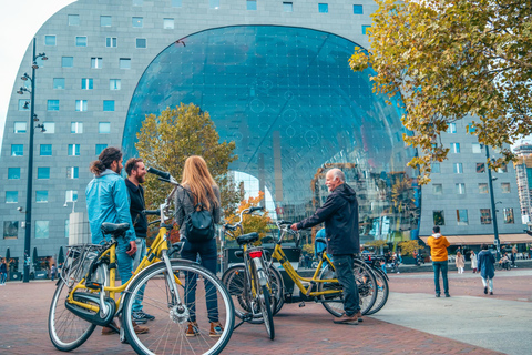 Rotterdam: Classic Highlight Bicycle Tour by Local