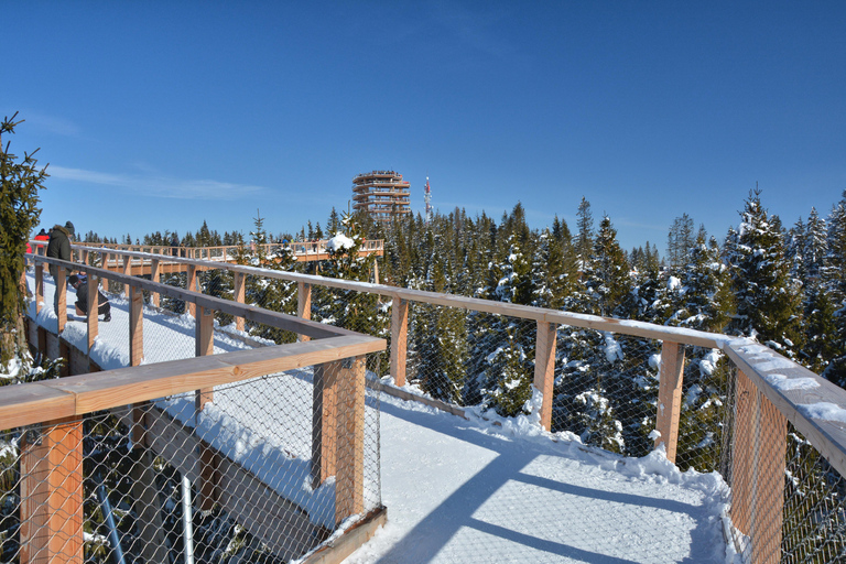 Zakopane: Treetop Walk & Cable Car with Pickup