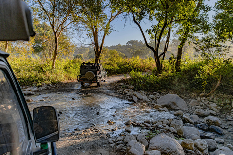 From Jaipur: Sariska National Park Day Tour with Jeep Safari