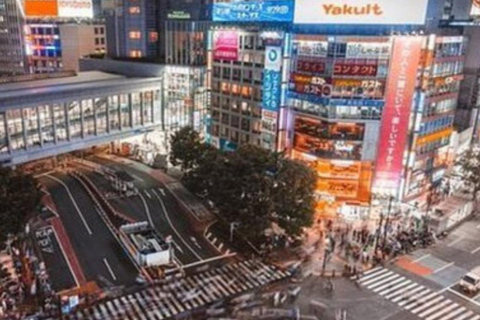 Tour privato di Tokyo personalizzato della città con autista che parla inglese