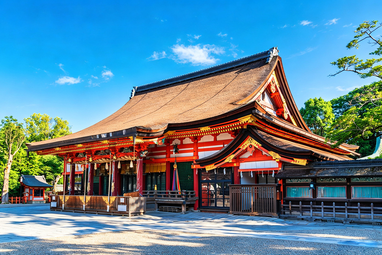 Osaka: Kiyomizu, Fushimi Inari, Nara & Gion Private Sightseeing Tours