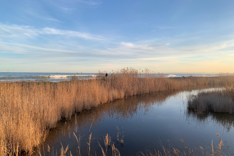 The Magic of the Albufera: Private Tour with Traditional Boat Ride