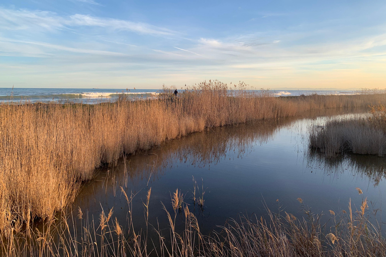 The Magic of the Albufera: Private Tour with Traditional Boat Ride