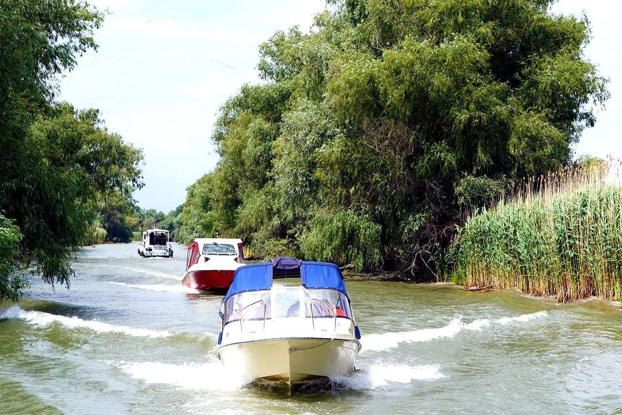 Tulcea: Bootsausflug zu den Vogelkolonien im Donaudelta