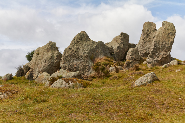 Vanuit Auckland of Rotorua: Hobbiton & Waitomo Tour met Lunch