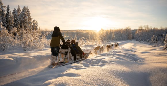 Rovaniemi: Husky Experience and Sled Ride with Pro Photos