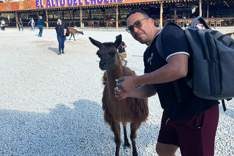 Visita Guatape e aldeias, passeio de barco com pequeno-almoço e almoço Medellin