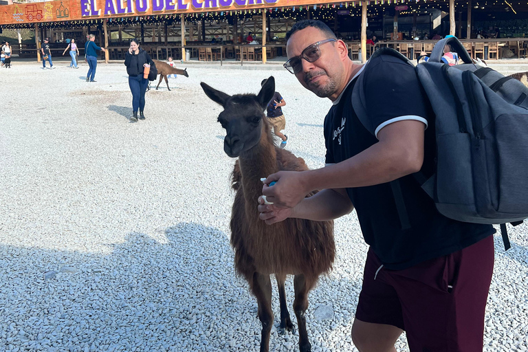 Visita Guatape e aldeias, passeio de barco com pequeno-almoço e almoço Medellin