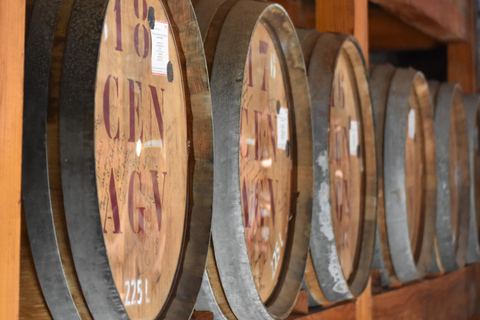 Madeira: Excursão de 1 dia em 4x4 com serviço de busca no hotel