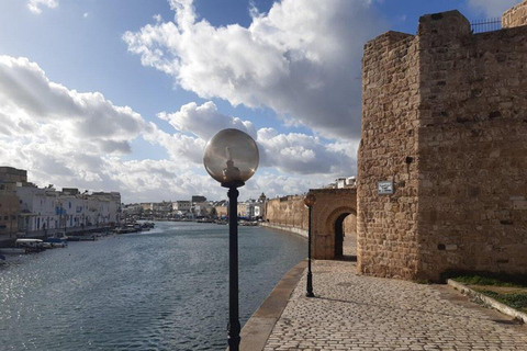 Excursión por el norte de África al parque Utique-Bizerte-Ichkeul(UNESCO)