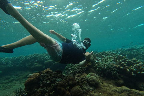 BFT Nusa Penida: Snorkeling to Manta Point &amp; Manta BayShare snorkeling group up 100 Pax