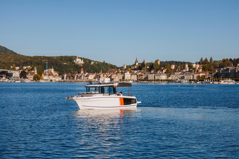 Lake Lucerne: Private Luxury Boat Cruise