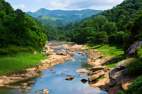 Tour guiado particular de 1 dia de bicicleta por trilhas até as Cataratas