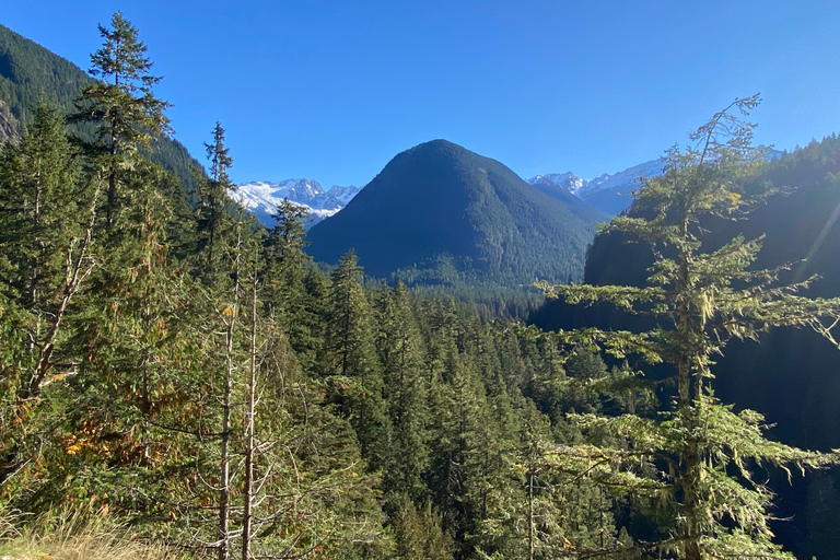 Seattle: North Cascades Highlights (with catered lunch) Seattle: North Cascades Highlights