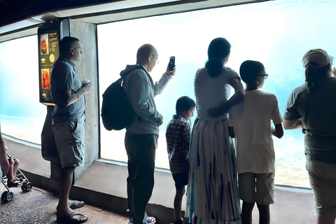 Chicago: A Guided Walking Tour of Lincoln Park Zoo