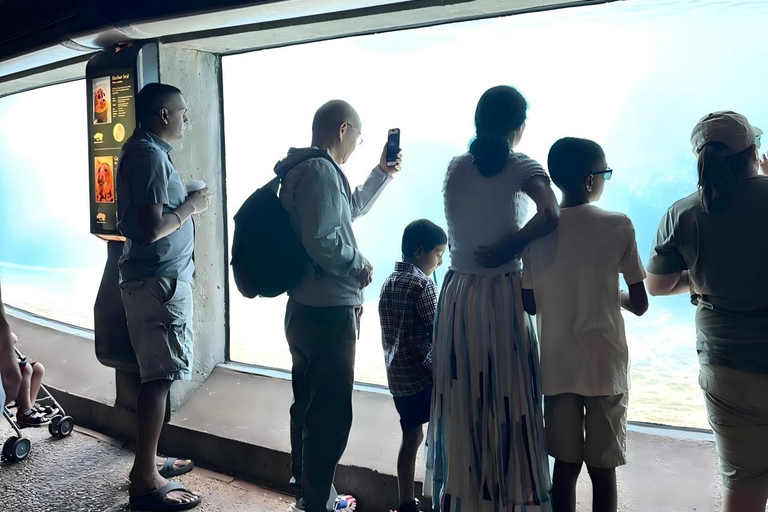 Chicago: A Guided Walking Tour of Lincoln Park Zoo