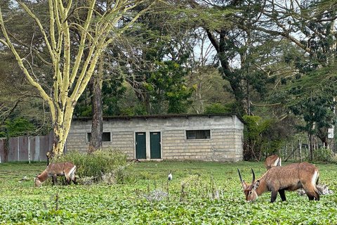 7-Day Kenya Classic Safari